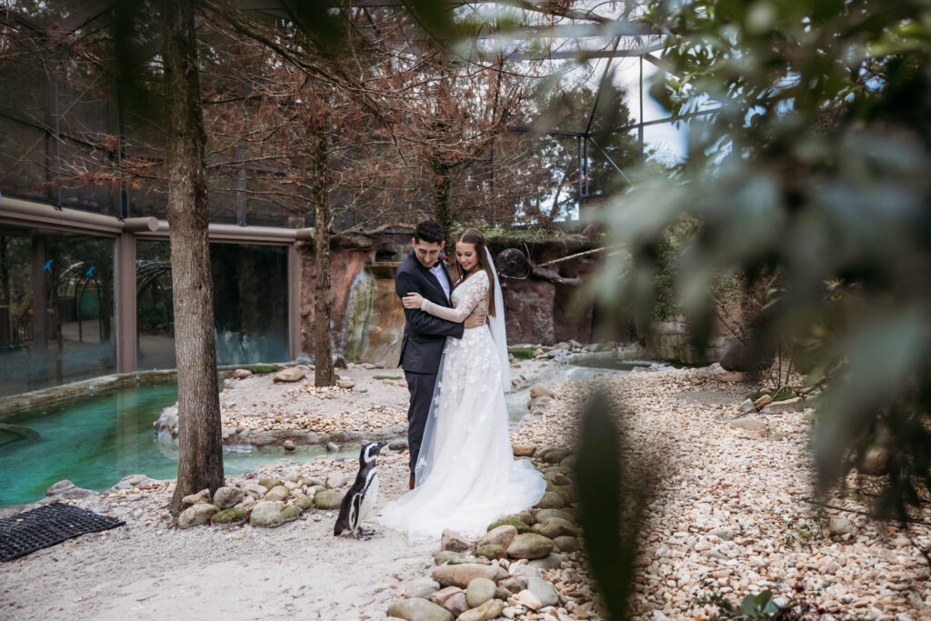Jacksonville Zoo and Gardens Florida Georgia Wedding Photographer