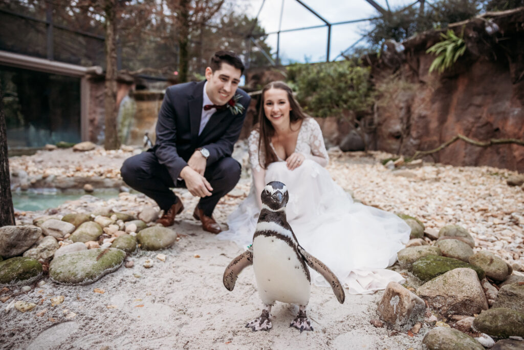 Jacksonville Zoo and Gardens Florida Georgia Wedding Photographer
