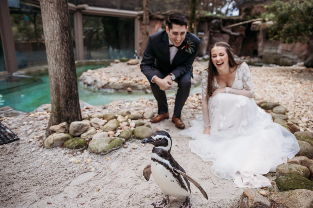 Jacksonville Zoo and Gardens Florida Georgia Wedding Photographer