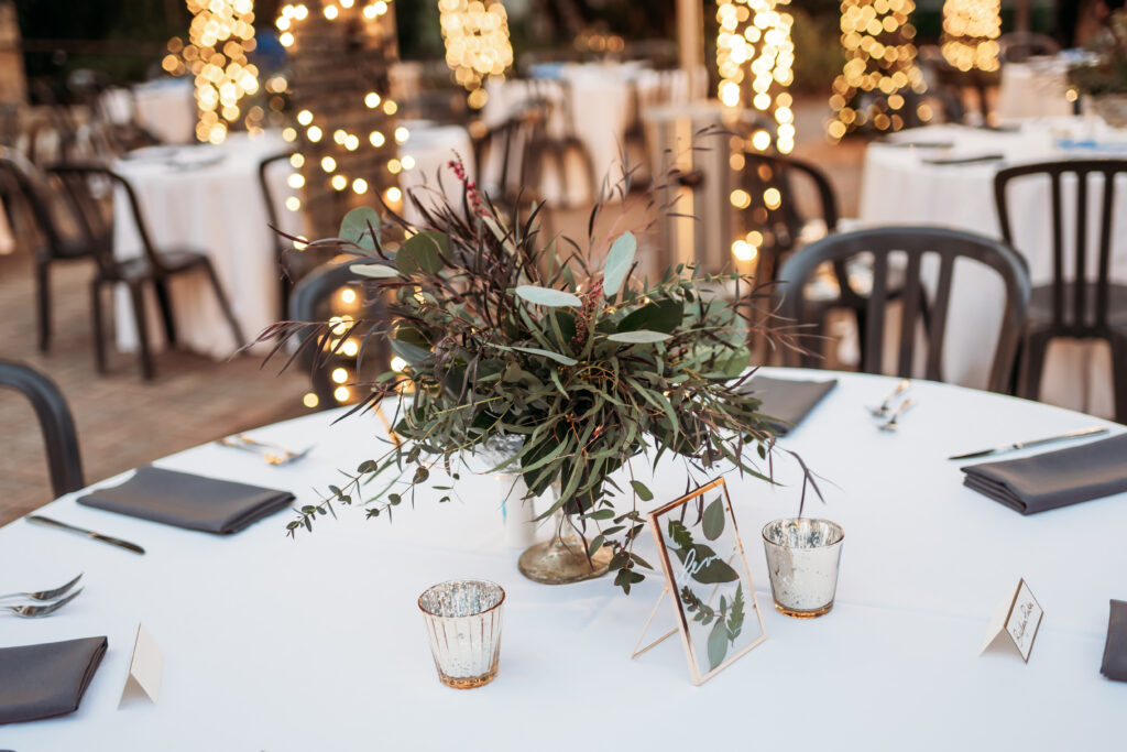 Jacksonville Zoo and Gardens Florida Georgia Wedding Photographer